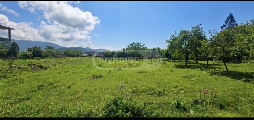 For Sale Sasoplo-Sameurneo Land Plot In Batumi view 1