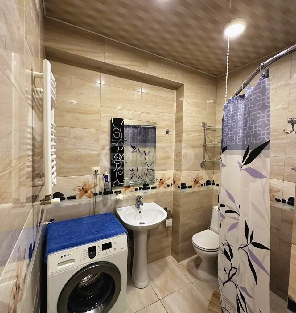 2 Room Flat For Rent. Batumi view 22