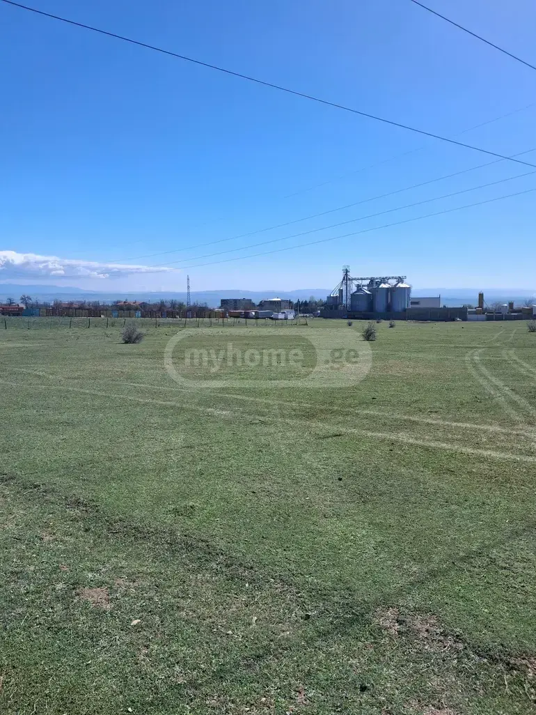 For Sale Sasoplo-Sameurneo Land Plot Tabakhmelashi view 2