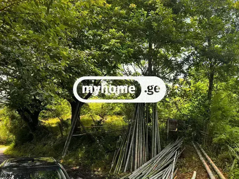 For Sale Sasoplo-Sameurneo Land Plot Kobuletis Munitsipalitetshi view 2
