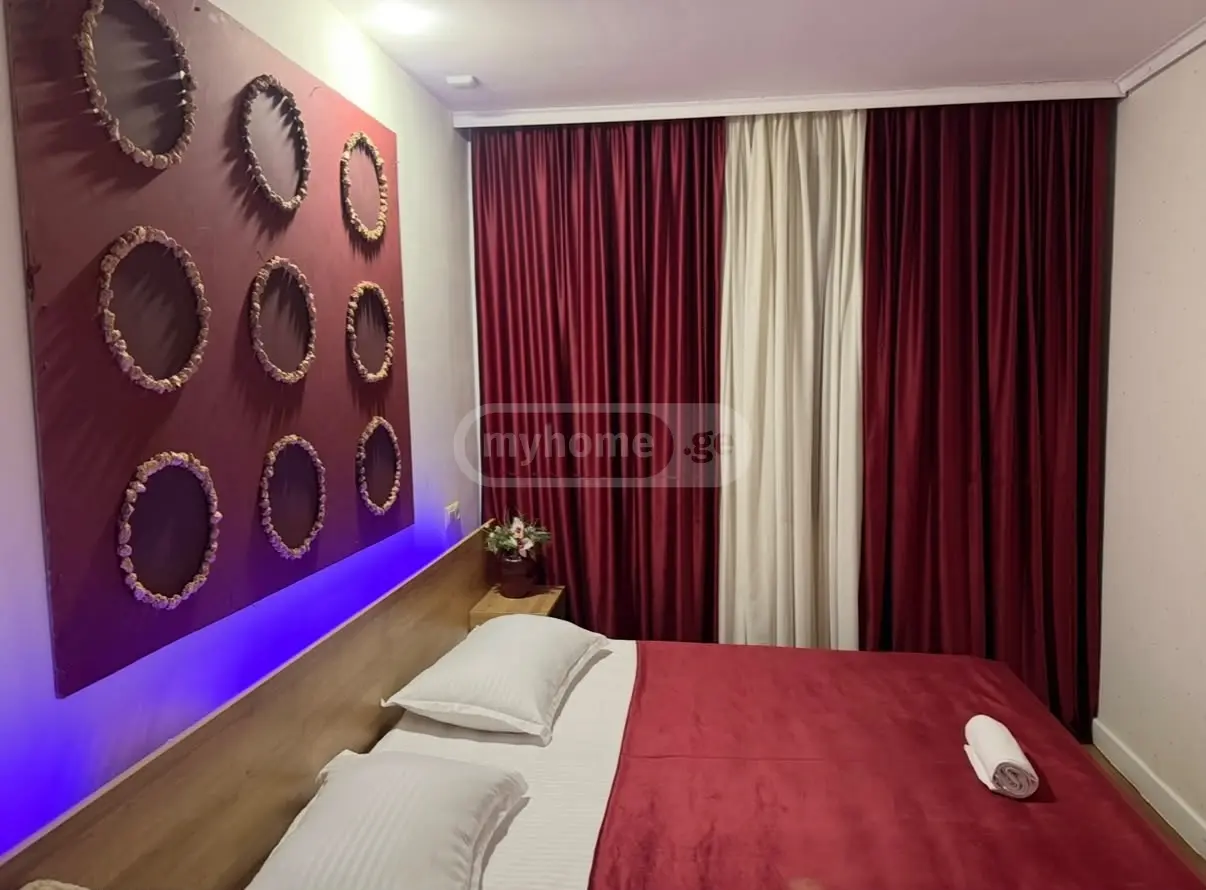 Daily Rent 3 Room Country House Rustavshi view 8