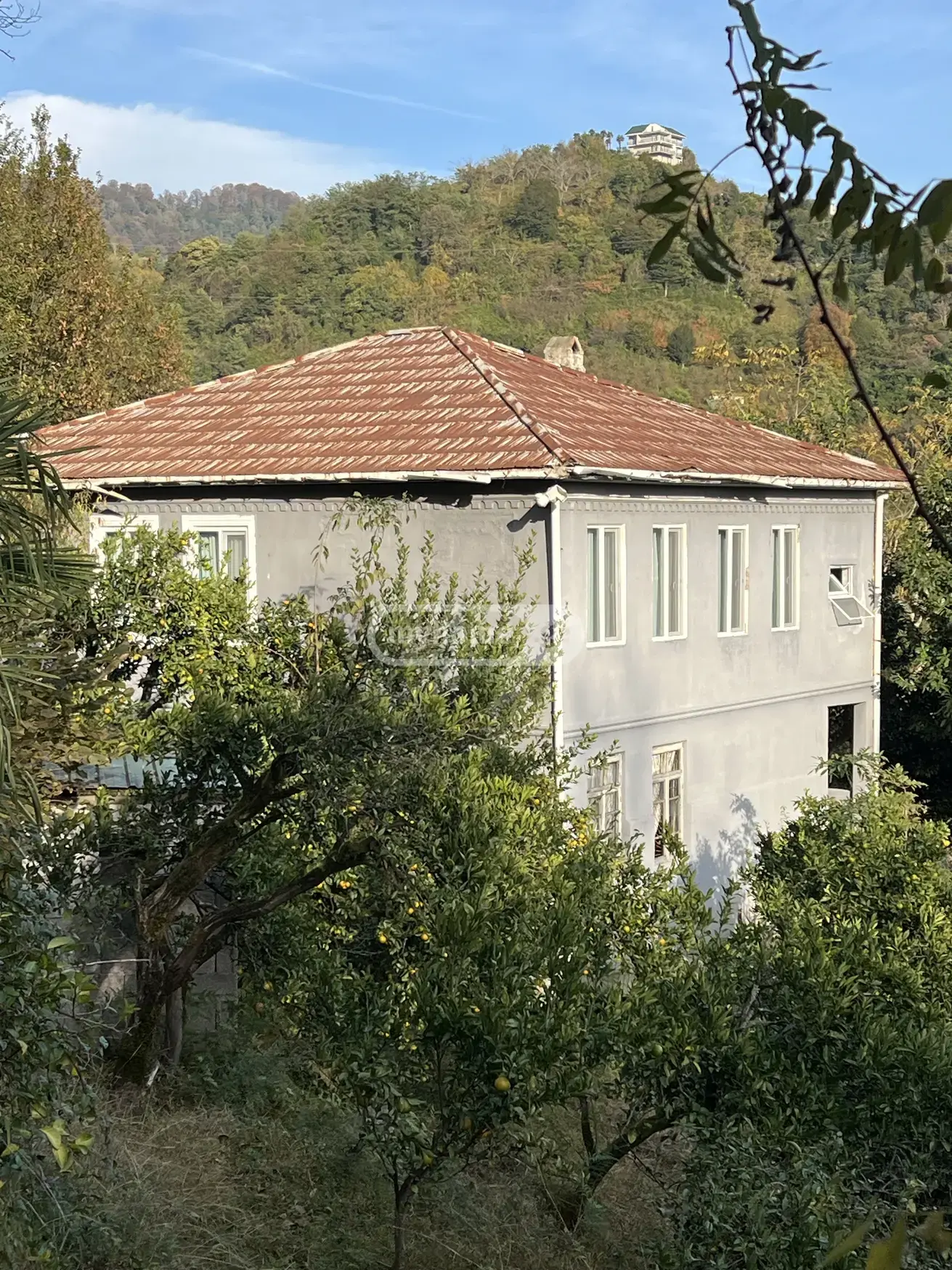 For Sale 7 Room Private House Khelvachauris Munitsipalitetshi view 3