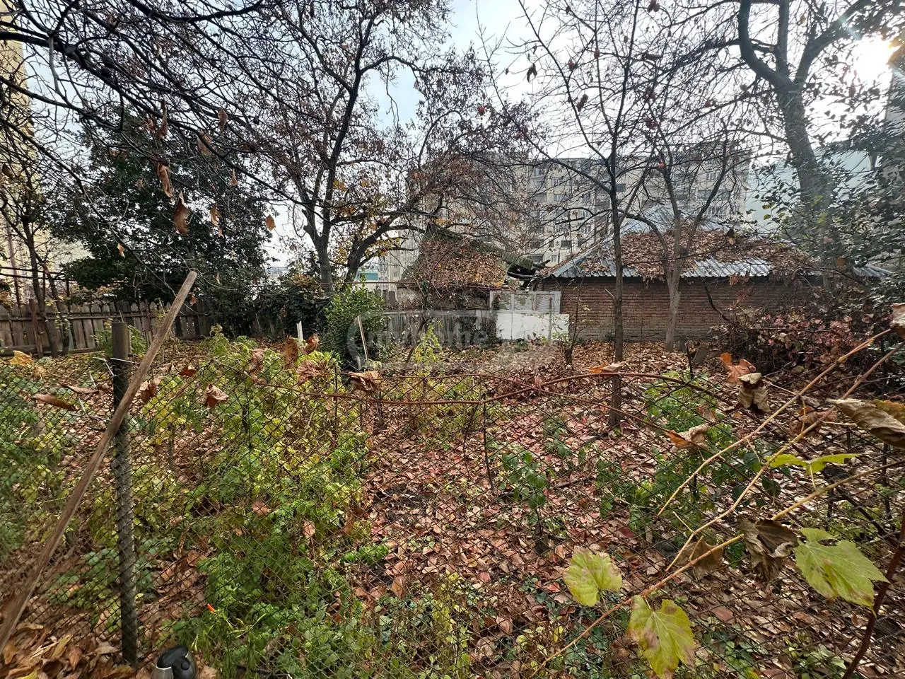 For Sale Ara Sasoplo-Sameurneo Land Plot In Vake view 1