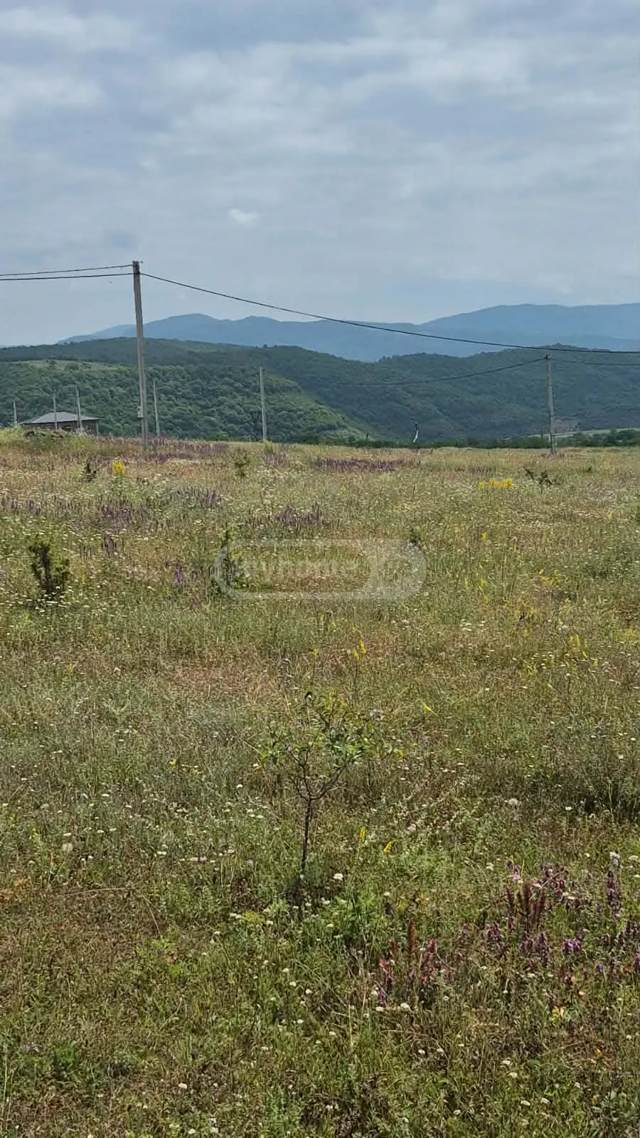 იყიდება მიწა / ნაკვეთი Dushetis Munitsipalitetshiში view 1