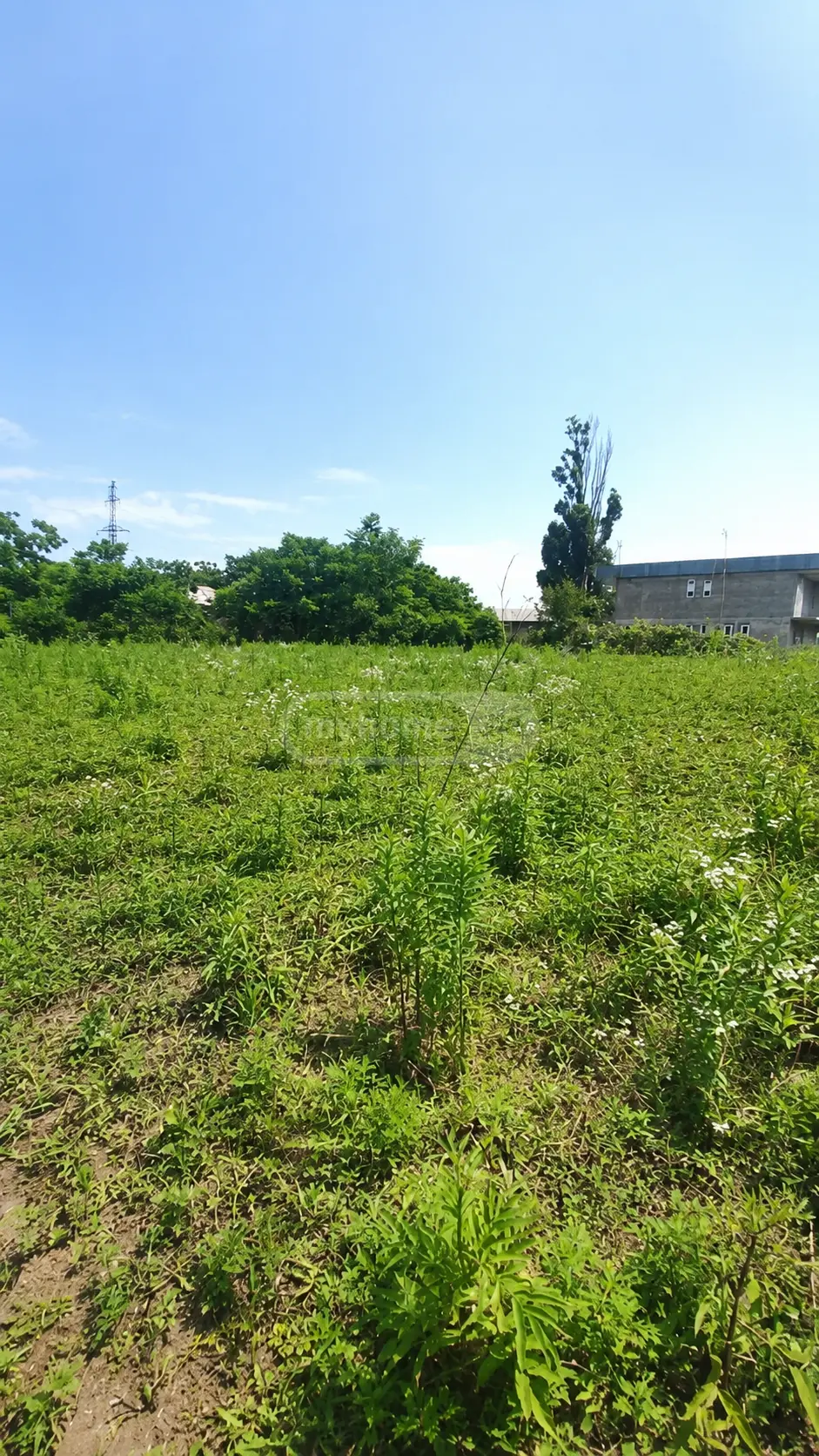 Продажа Земля / участок в Lanchkhutis Munitsipalitetshi view 1