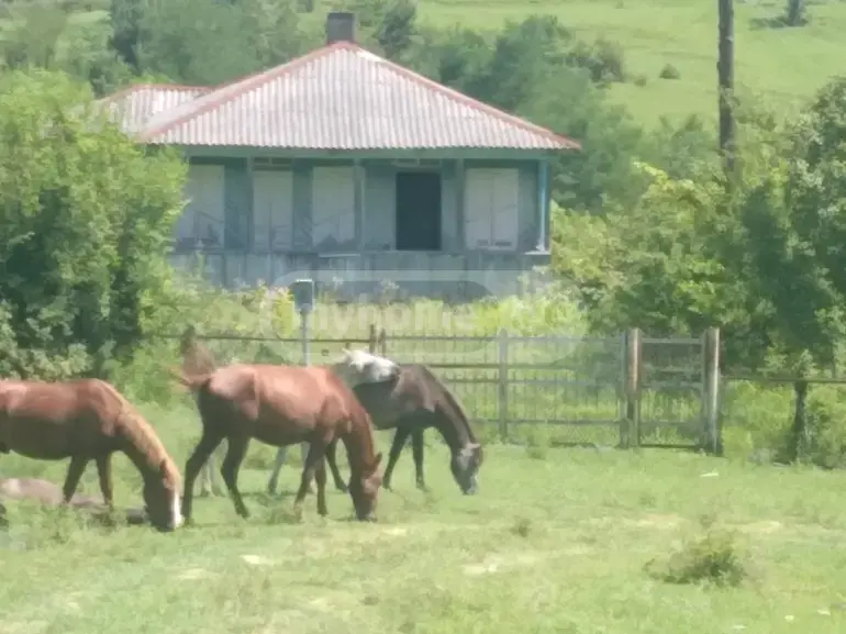 For Sale Sasoplo-Sameurneo Land Plot Veraze view 1