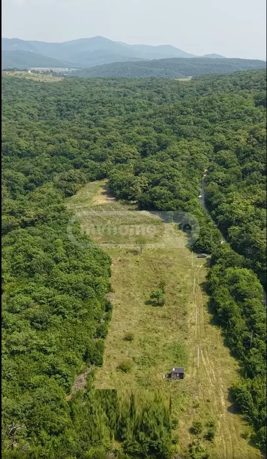 For Sale Sasoplo-Sameurneo Land Plot Dushetis Munitsipalitetshi view 5