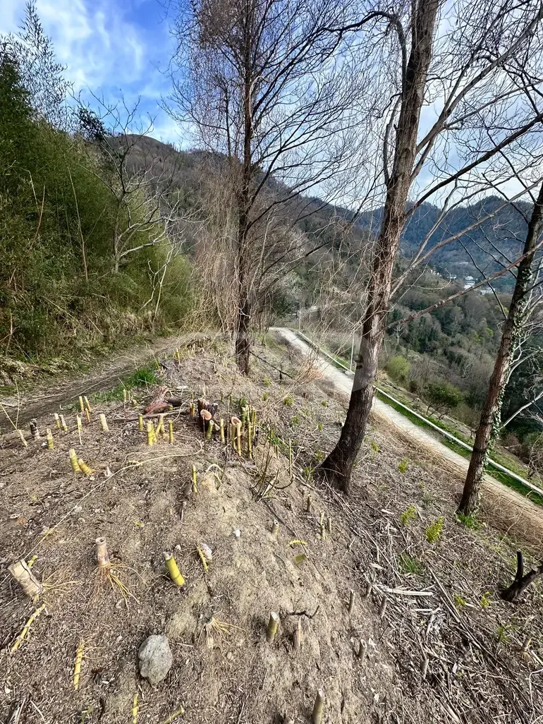 Продажа Земля / участок в Khelvachauris Munitsipalitetshi view 3