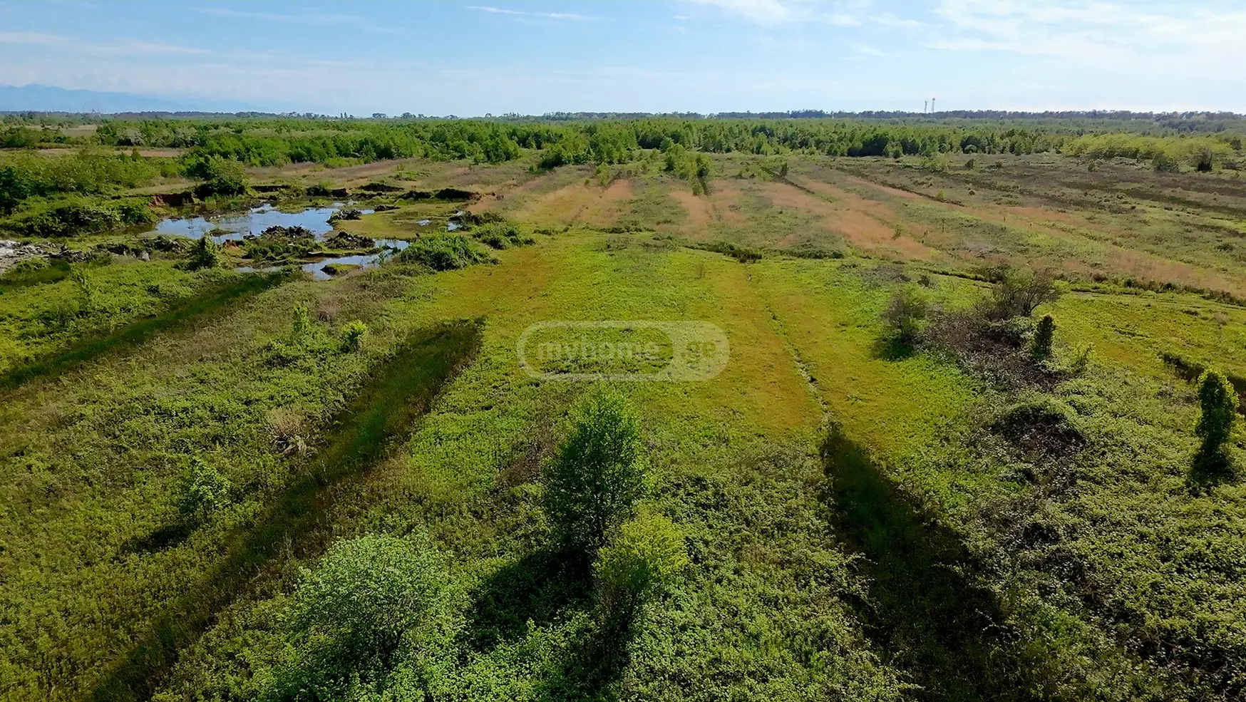 Продажа Земля / участок в Ozurgetshii view 4