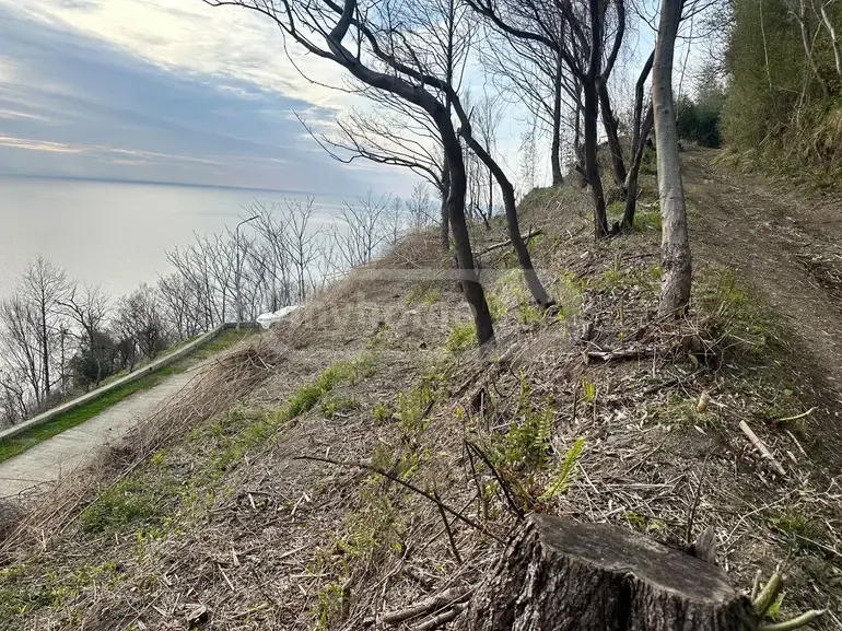 Продажа Земля / участок в Khelvachauris Munitsipalitetshi view 6