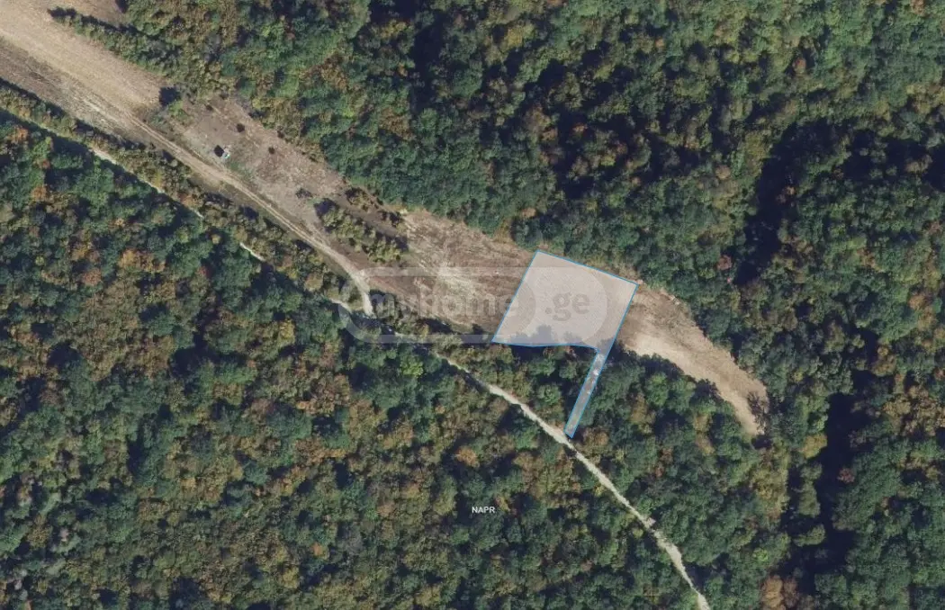 For Sale Sasoplo-Sameurneo Land Plot Dushetis Munitsipalitetshi view 9