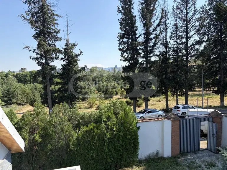 For Rent Saopise Commercial Space Dighmis Masivshi view 10
