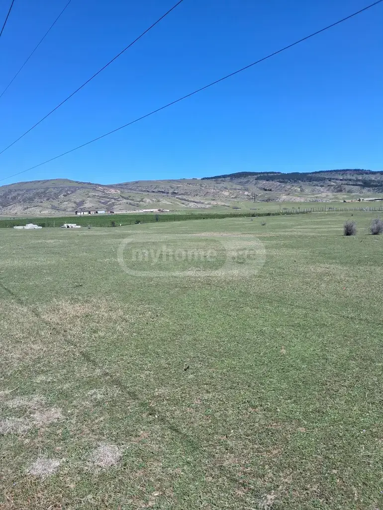 For Sale Sasoplo-Sameurneo Land Plot Tabakhmelashi view 3