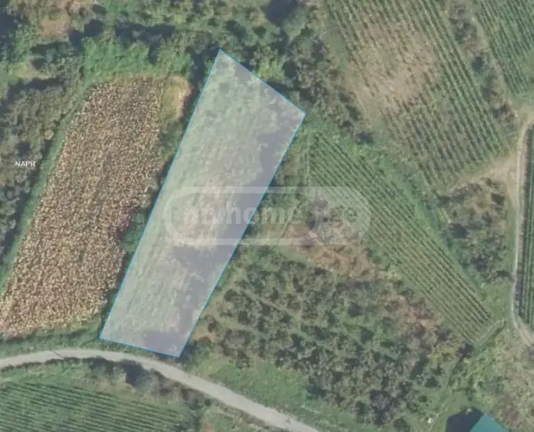 For Sale Sasoplo-Sameurneo Land Plot Qvarlis Munitsipalitetshi view 3