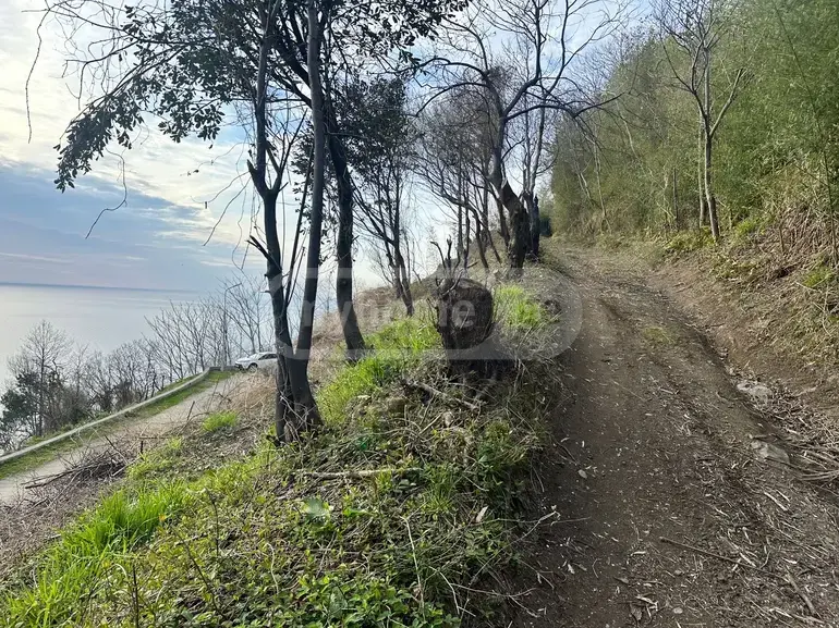 Продажа Земля / участок в Khelvachauris Munitsipalitetshi view 9