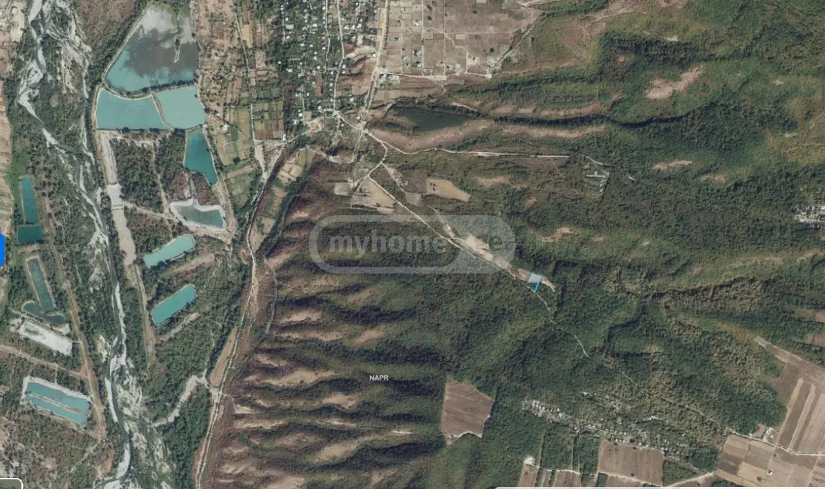 For Sale Sasoplo-Sameurneo Land Plot Dushetis Munitsipalitetshi view 8