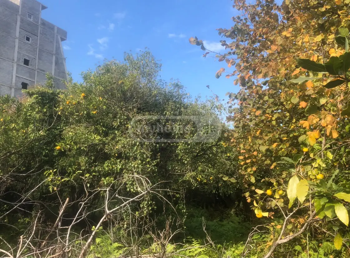 For Sale Sasoplo-Sameurneo Land Plot In Batumi view 1