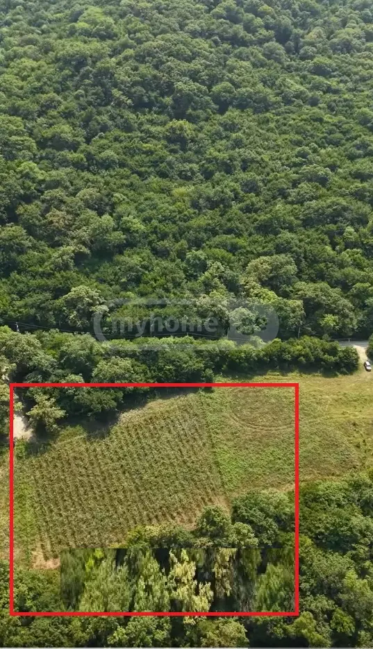 For Sale Sasoplo-Sameurneo Land Plot Dushetis Munitsipalitetshi view 1