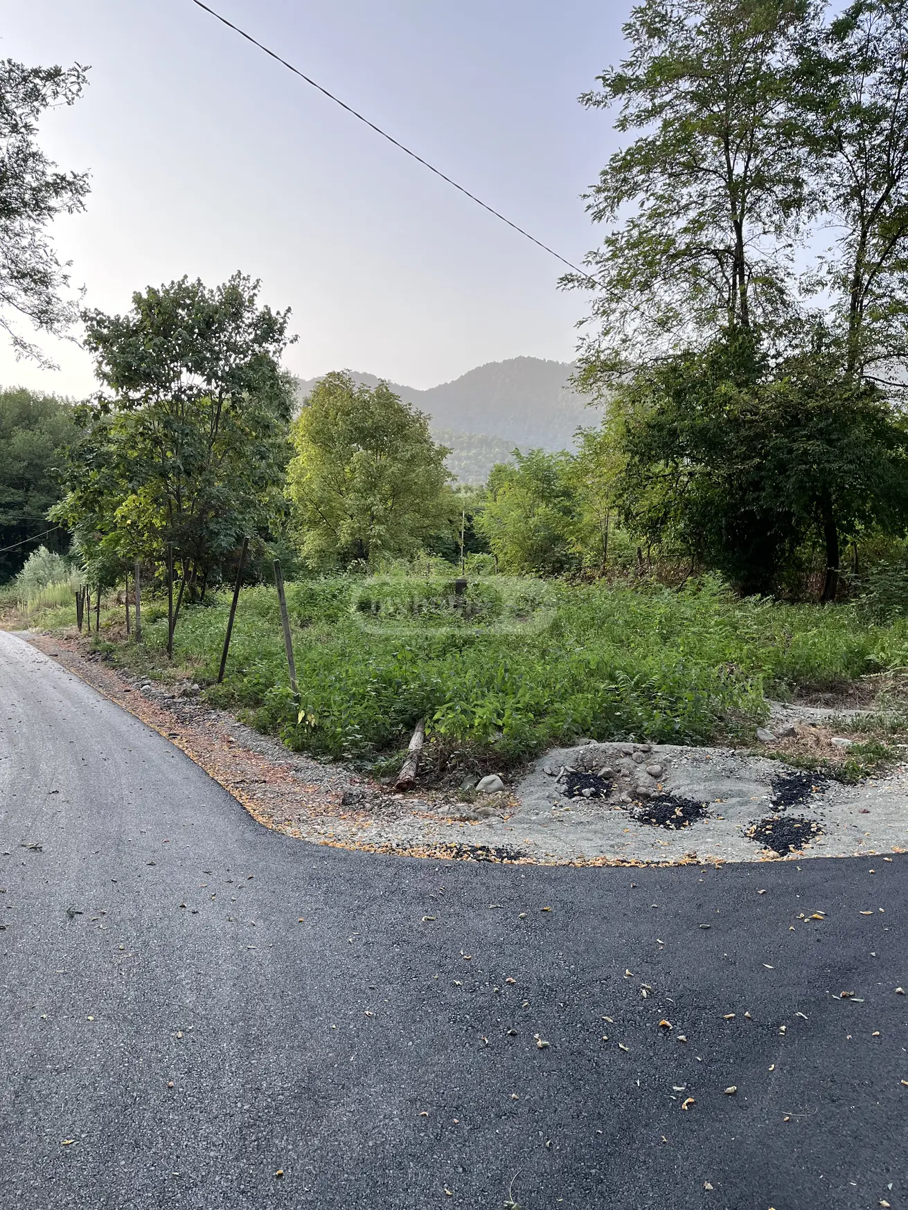 For Sale Ara Sasoplo-Sameurneo Land Plot Lagodekhshi view 5