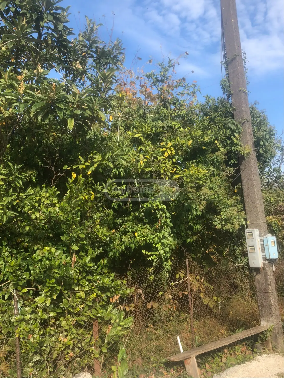 For Sale Sasoplo-Sameurneo Land Plot In Batumi view 3