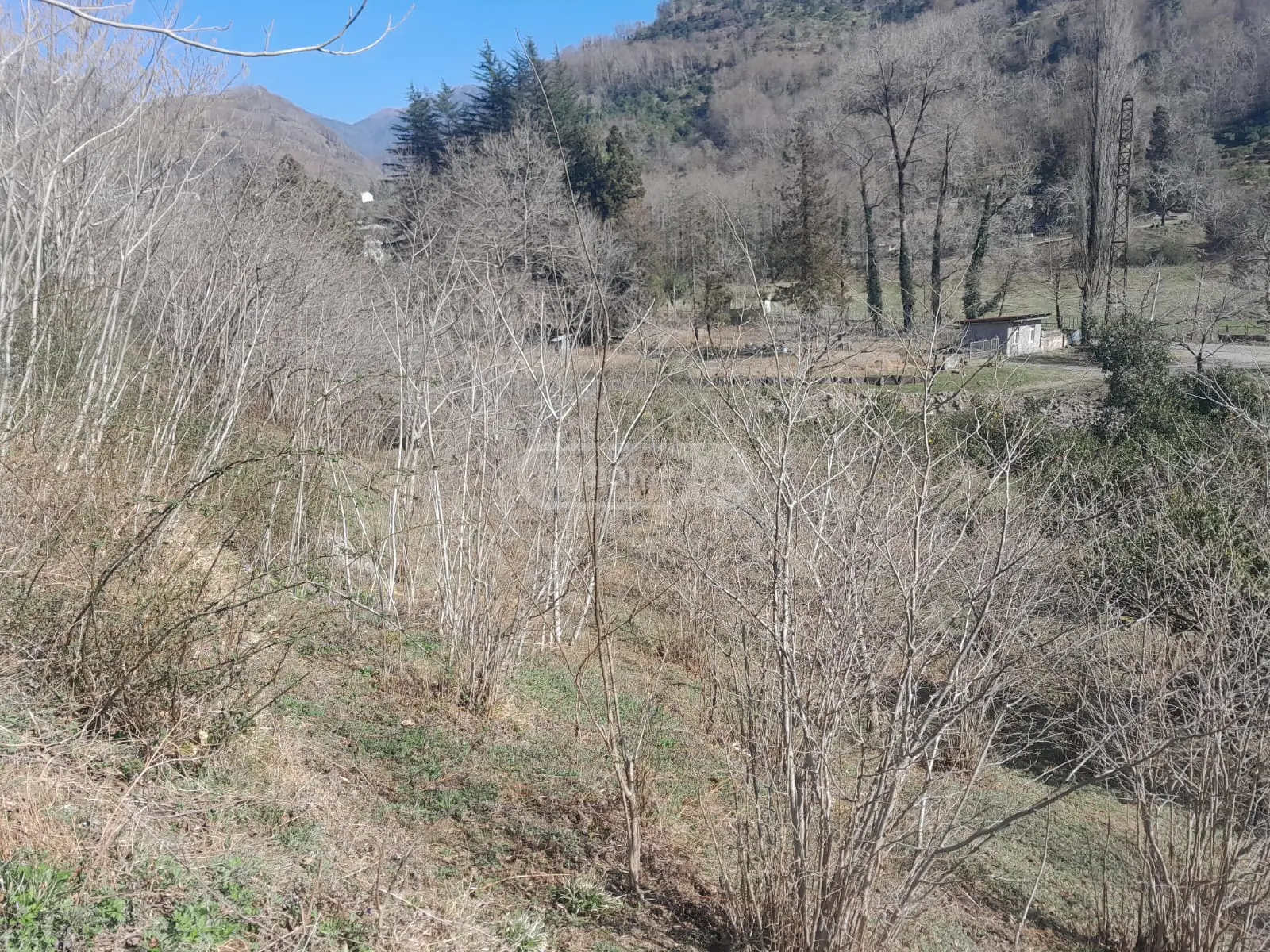 For Sale Sasoplo-Sameurneo Land Plot In Batumi view 2