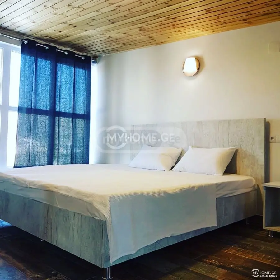 Daily Rent 10+ Room Country House Dushetis Munitsipalitetshi view 5