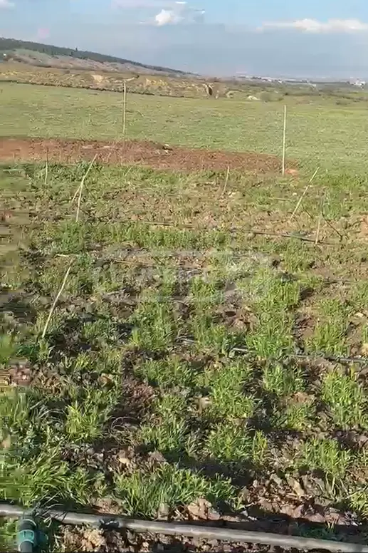 იყიდება მიწა / ნაკვეთი Tetritsqaros Raionshiში view 6