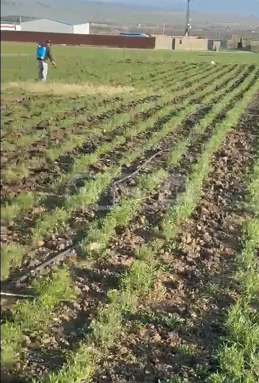 იყიდება მიწა / ნაკვეთი Tetritsqaros Raionshiში view 2