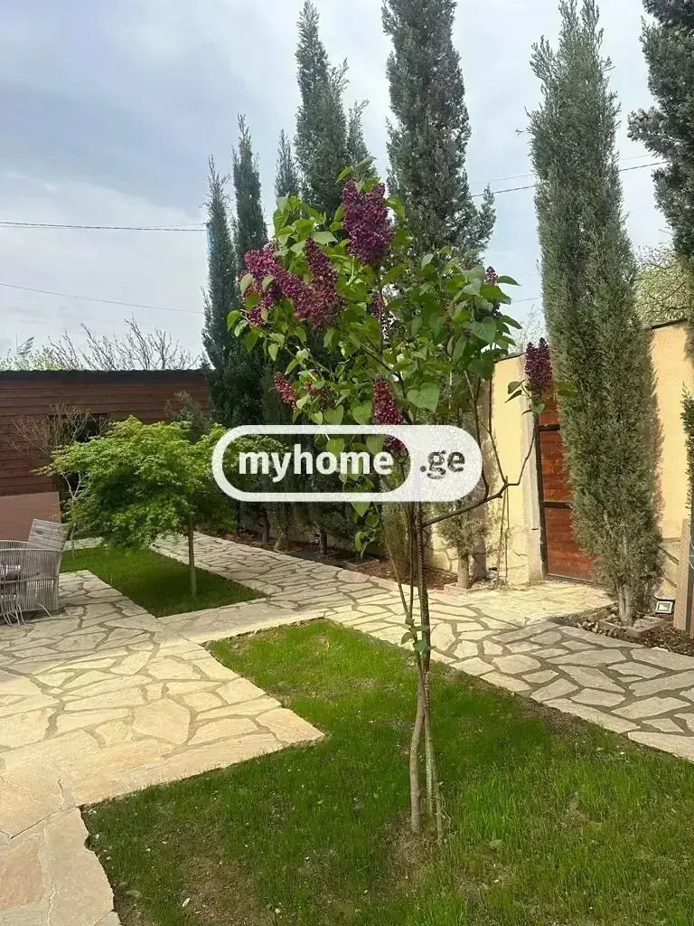 For Rent 10+ Room Sastumro Dighmis Masivshi view 11