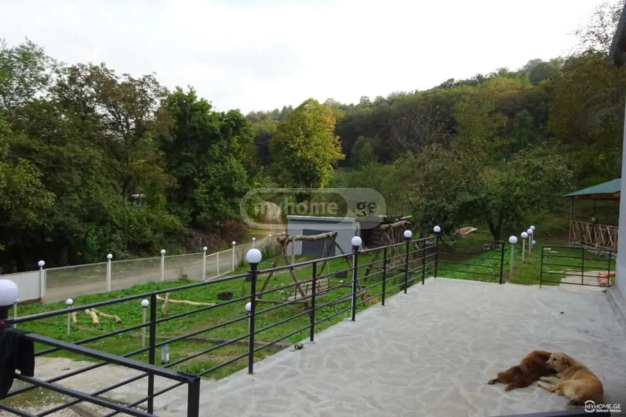 For Sale Ara Sasoplo-Sameurneo Land Plot Sighnaghshi view 1