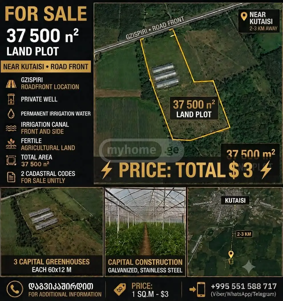 For Sale Sasoplo-Sameurneo Land Plot Kutaisshi view 2