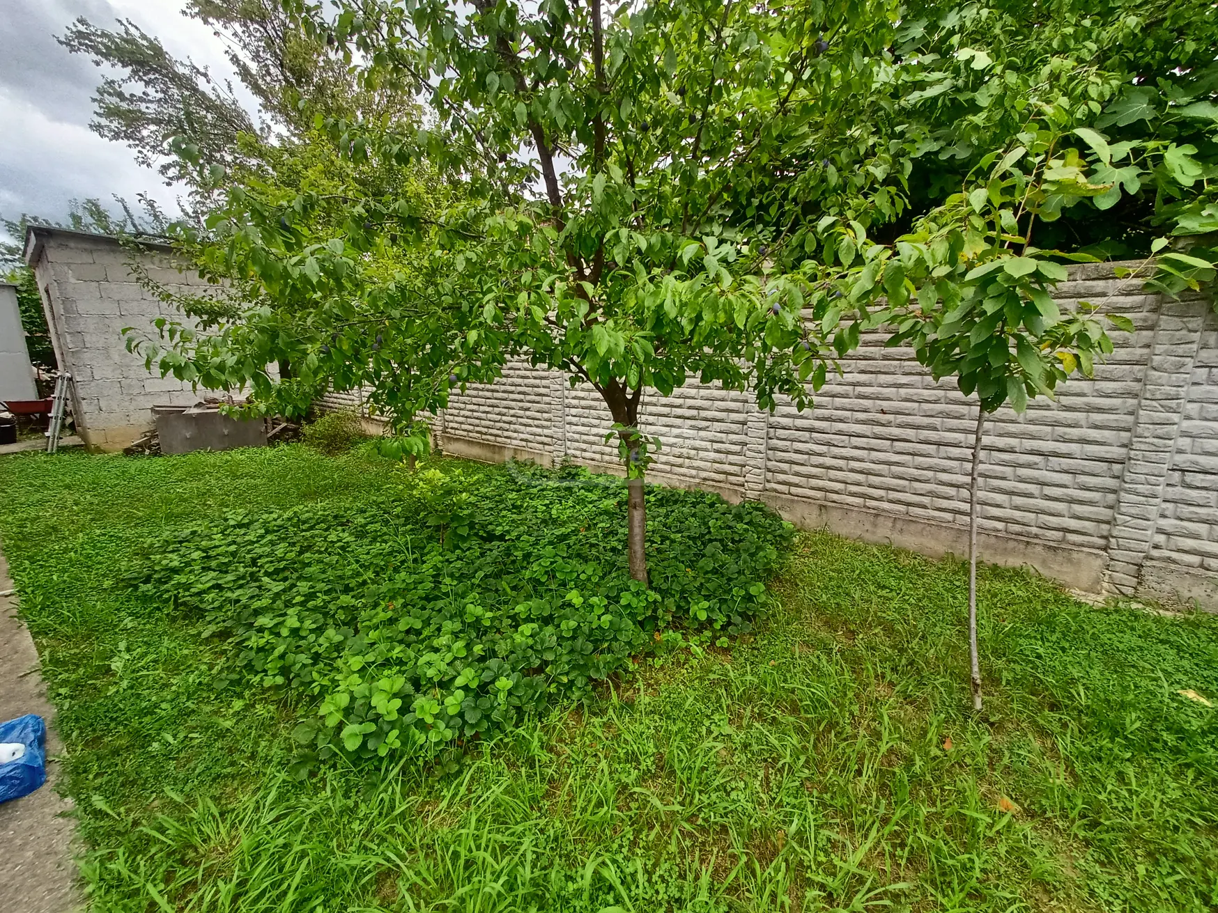 For Sale 7 Room Private House Kutaisshi view 19