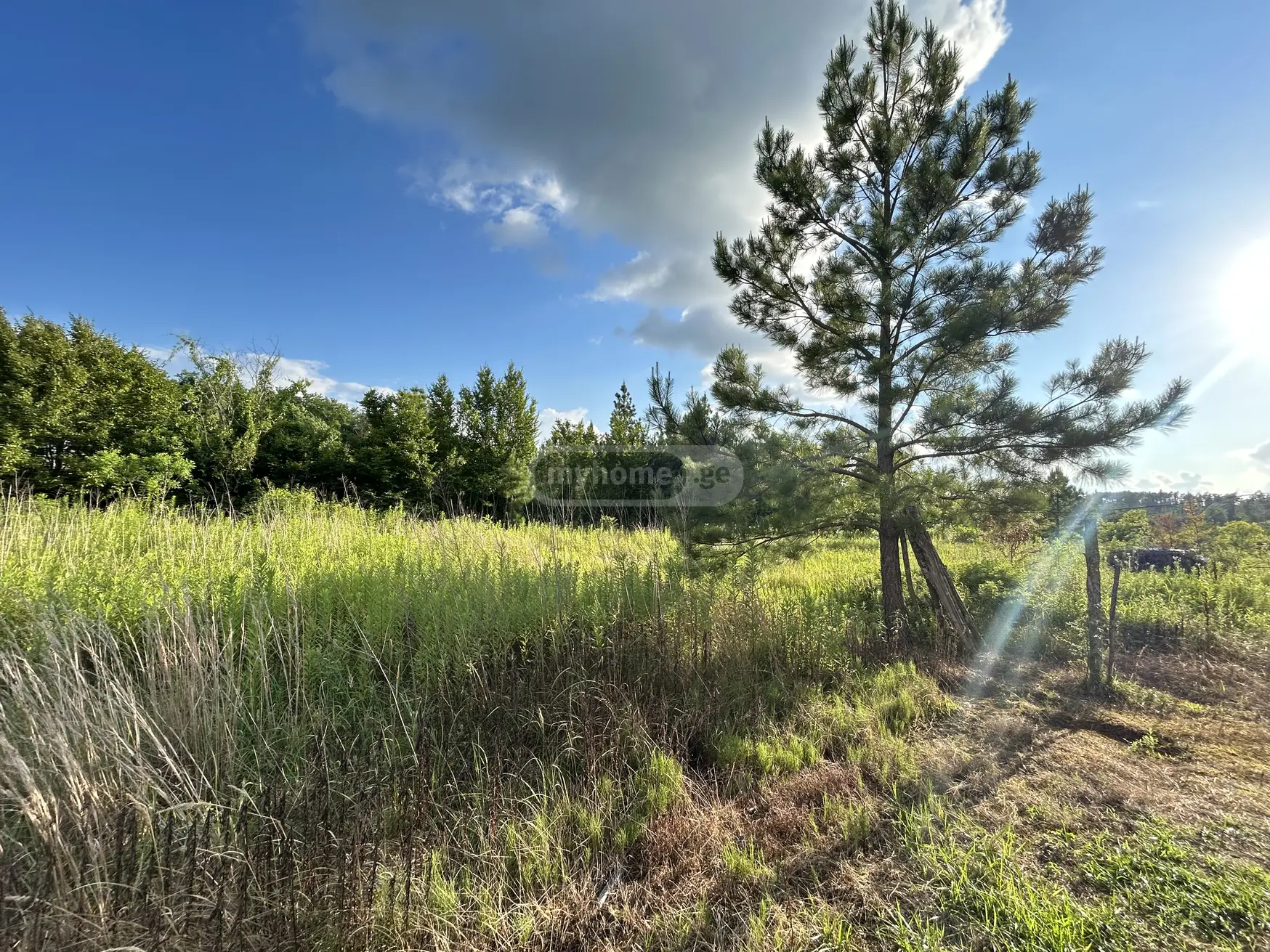 For Sale Ara Sasoplo-Sameurneo Land Plot Tsqaltuboshi view 2