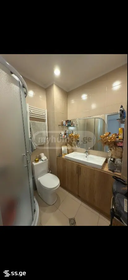 2 Room Flat For Rent. Samgori view 30