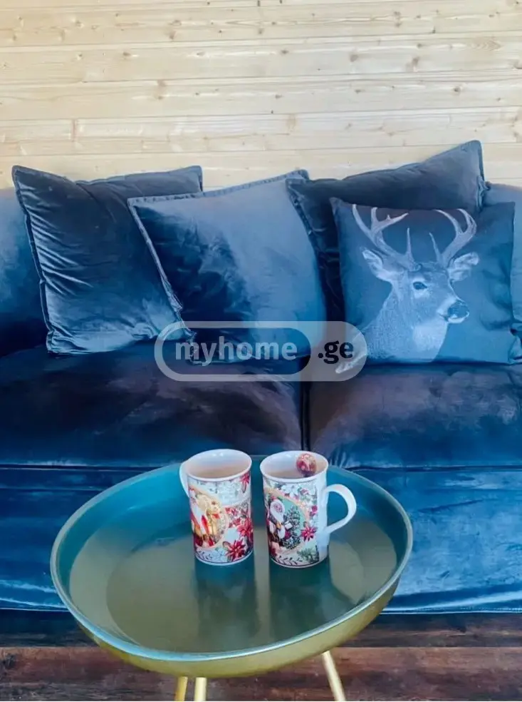 For Rent 3 Room Country House Tsqnetshi view 10