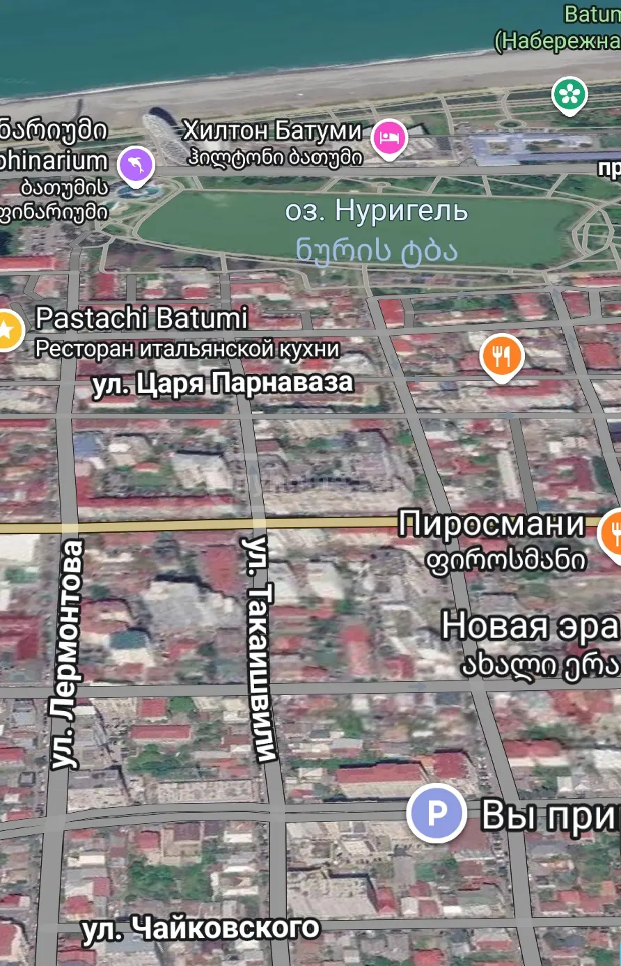 For Sale Sasatsqobe Commercial Space In Batumi view 7