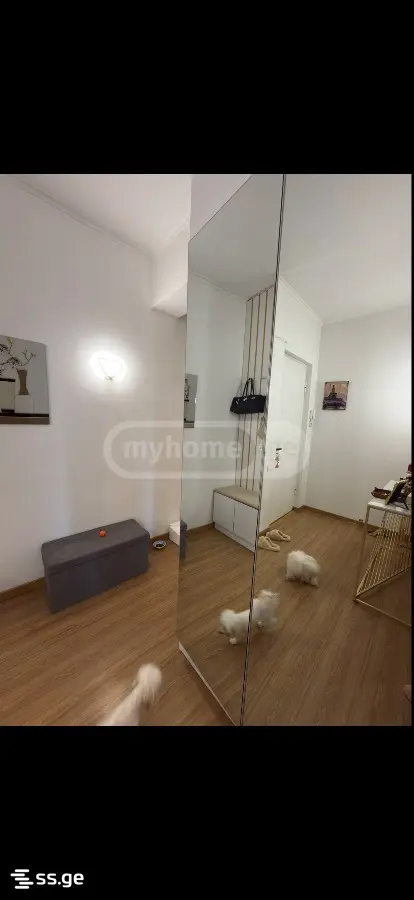 2 Room Flat For Rent. Samgori view 19