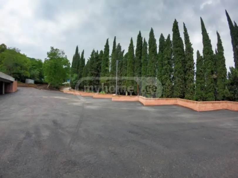 For Sale Ara Sasoplo-Sameurneo Land Plot Sighnaghshi view 3