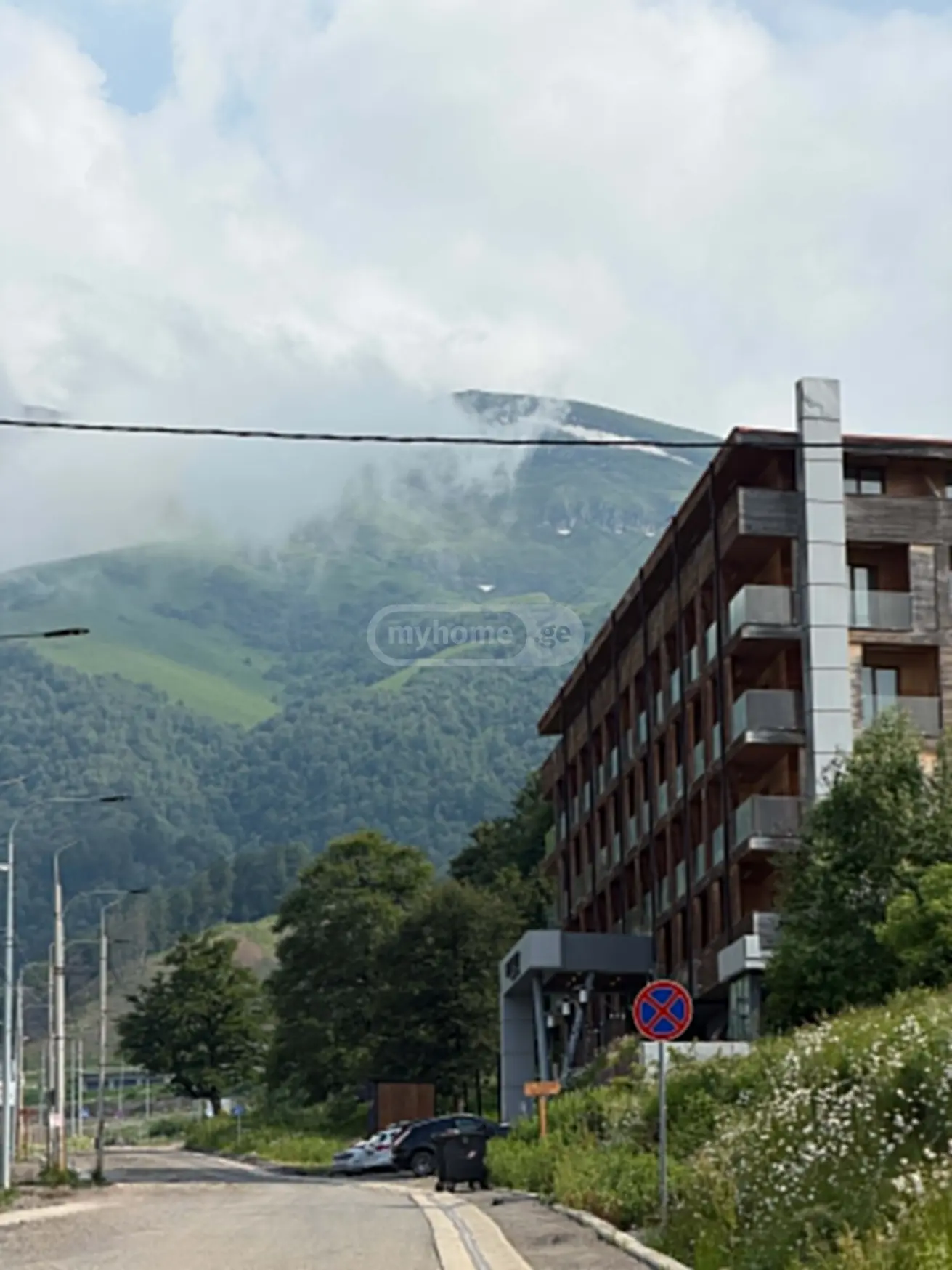 დღიური ქირა 1-ოთახი Sastumro Bakurianshi view 16