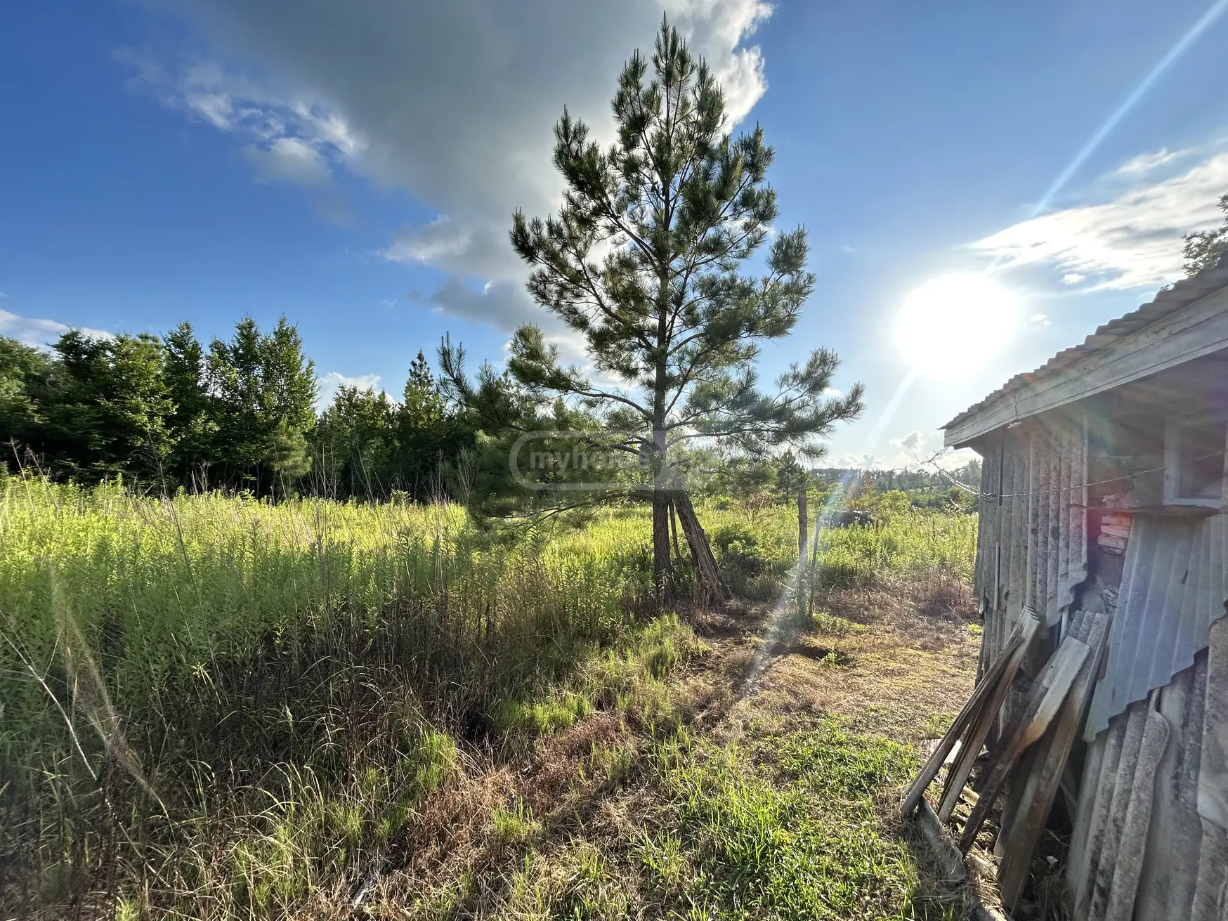 For Sale Ara Sasoplo-Sameurneo Land Plot Tsqaltuboshi view 1