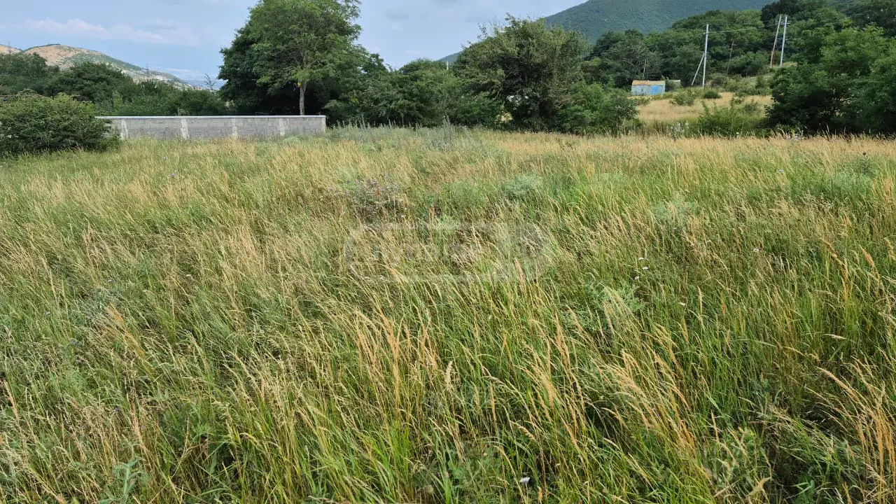 For Sale Sasoplo-Sameurneo Land Plot Mtskhetis Munitsipalitetshi view 13