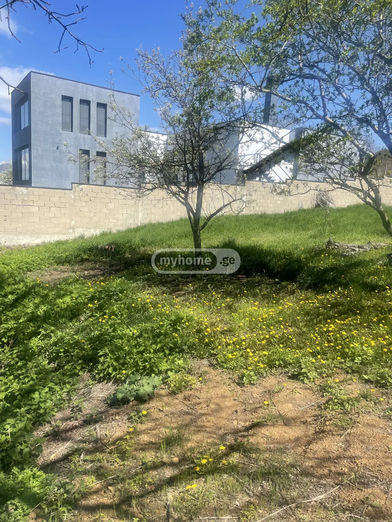 For Sale Sasoplo-Sameurneo Land Plot Kojorshi view 2