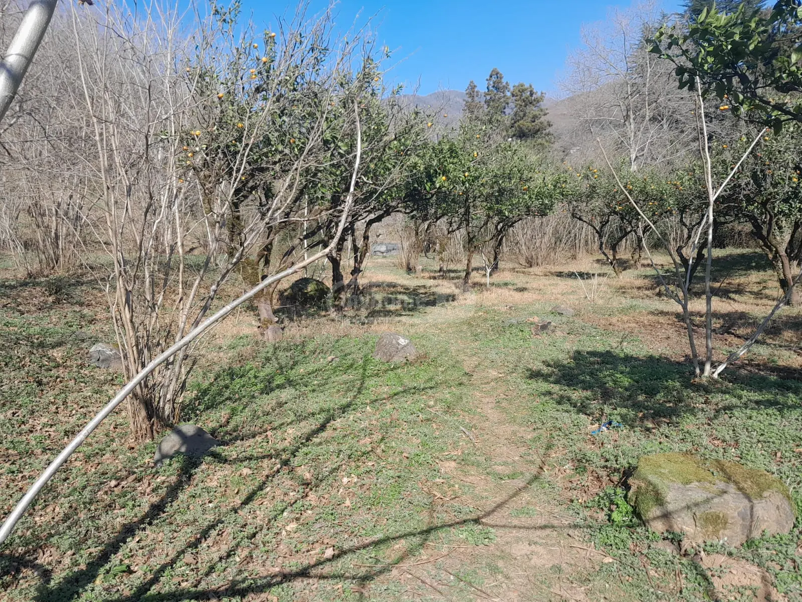For Sale Sasoplo-Sameurneo Land Plot In Batumi view 1
