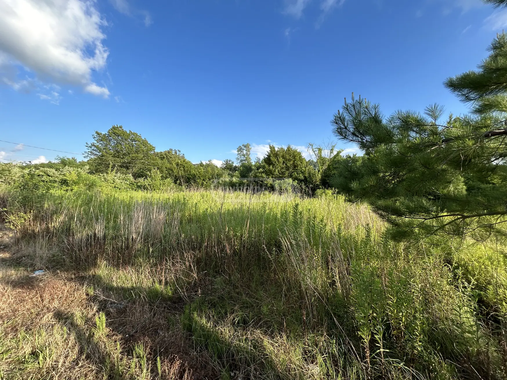 For Sale Ara Sasoplo-Sameurneo Land Plot Tsqaltuboshi view 3