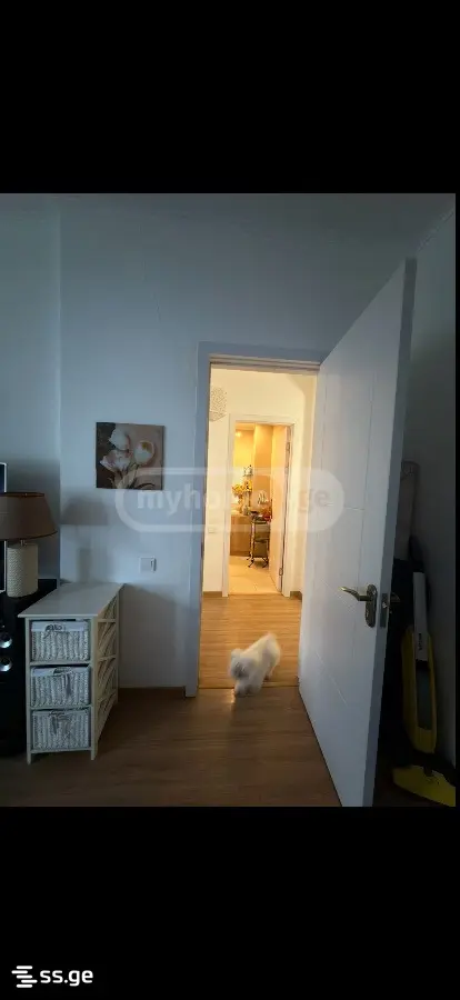 2 Room Flat For Rent. Samgori view 17