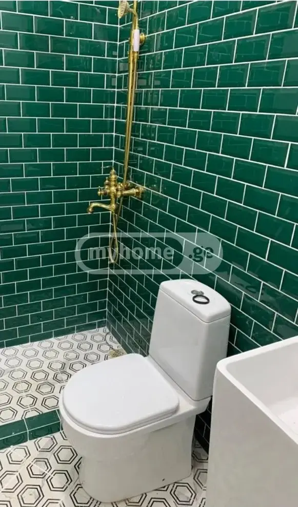 For Rent 3 Room Country House Tsqnetshi view 16