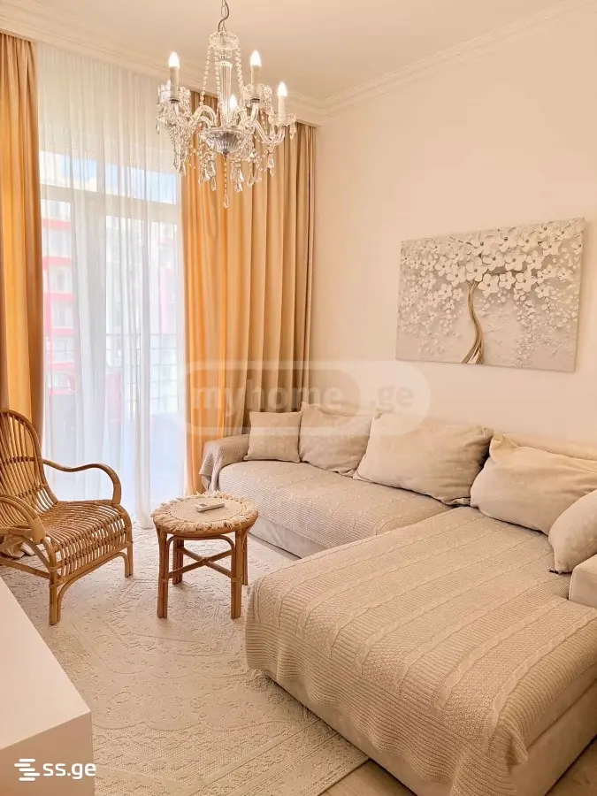 3 Room Flat For Rent. Digomi view 29