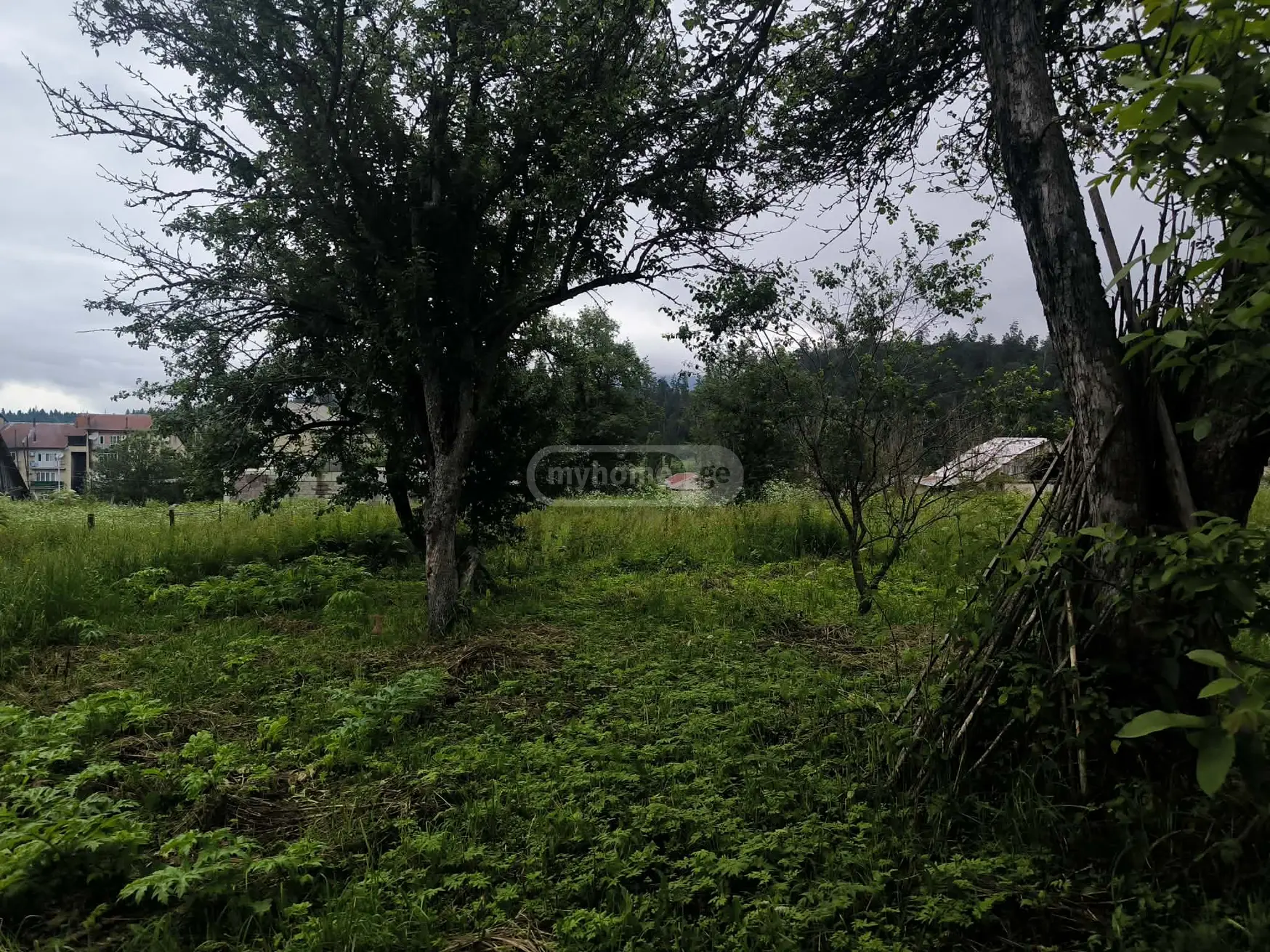 Продажа 4-комната Загородный дом в Bakurianshi view 7