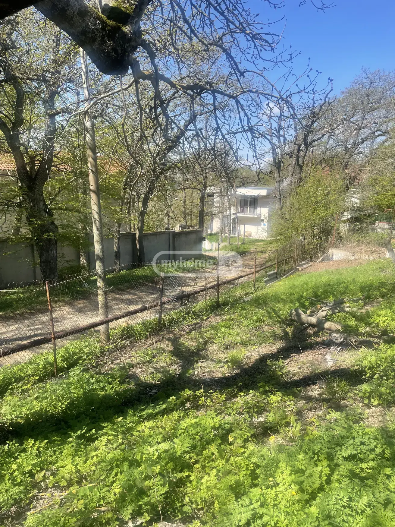 For Sale Sasoplo-Sameurneo Land Plot Kojorshi view 6
