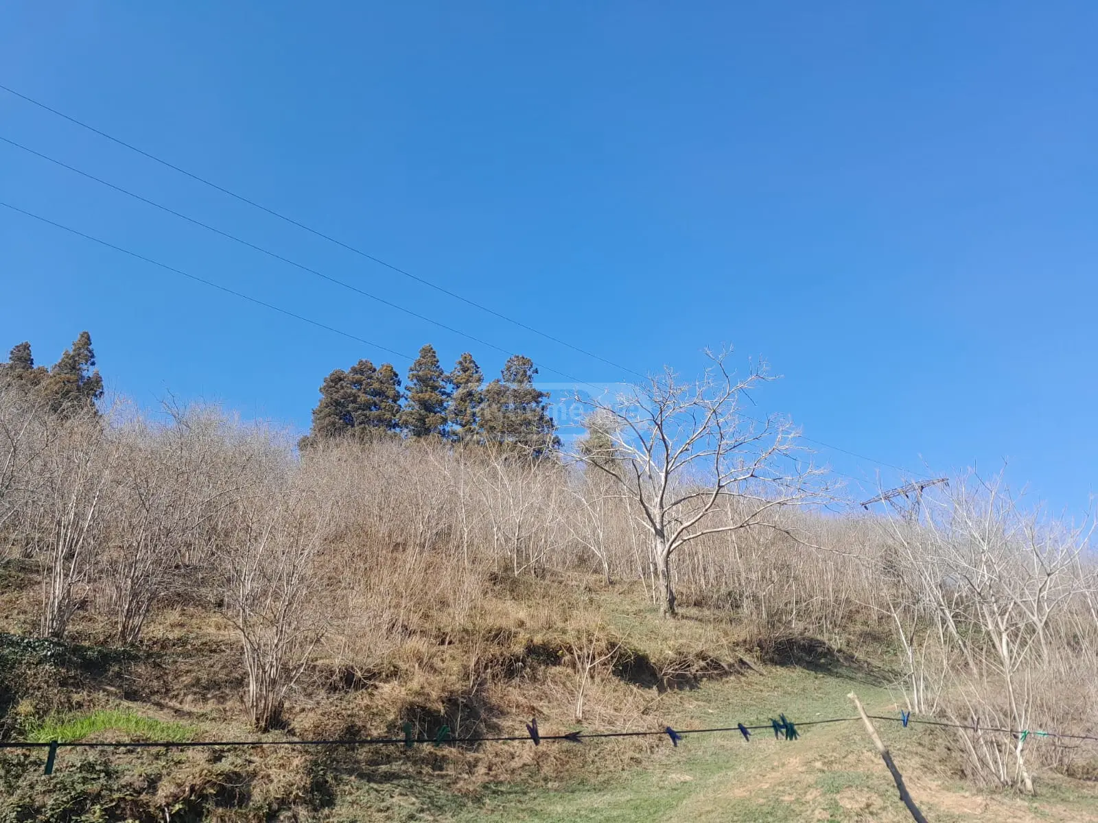 For Sale Sasoplo-Sameurneo Land Plot In Batumi view 3